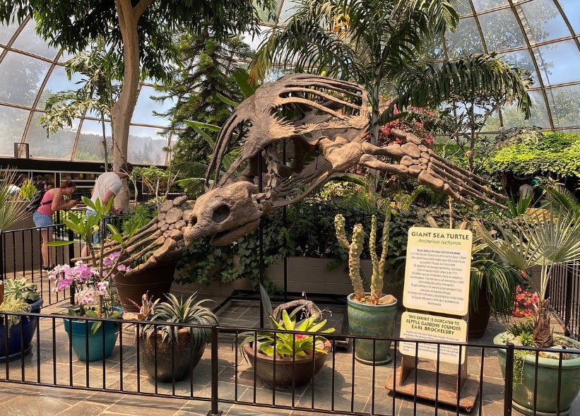 Reptile Gardens, South Dakota, USA